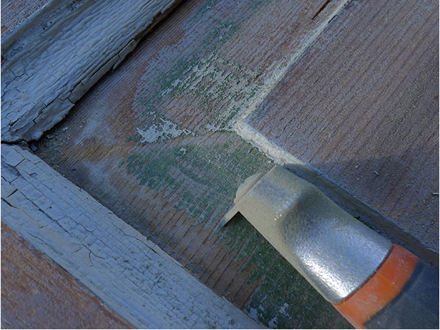 Linolja & Linoljefärg – Ytbehandling & rötskydd på trä