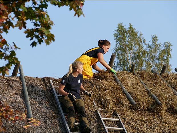 Ladugård, Herrljunga hembygdsf.